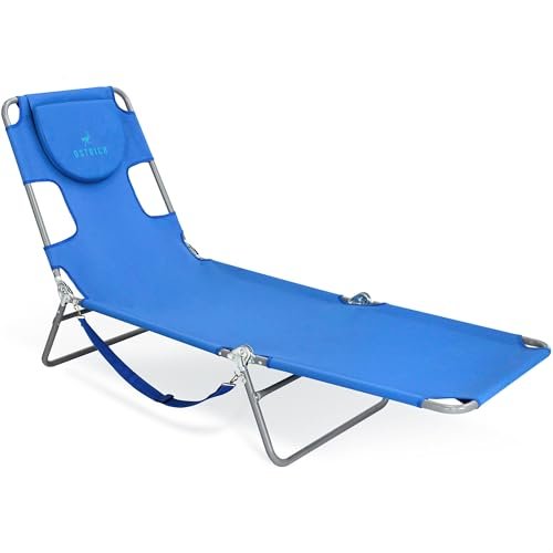 best beach chair lounger