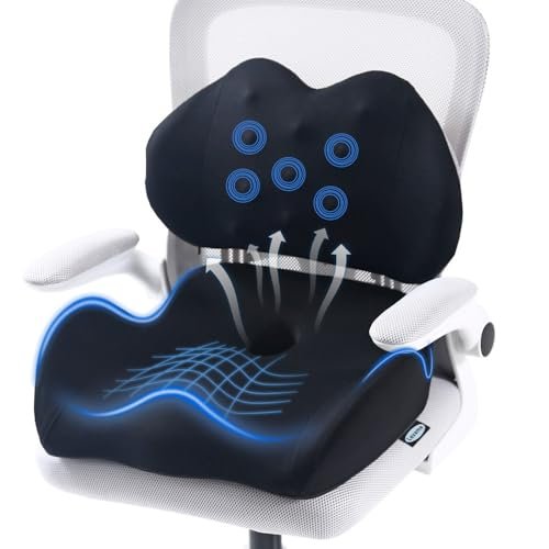 best lumbar support cushion for office chair
