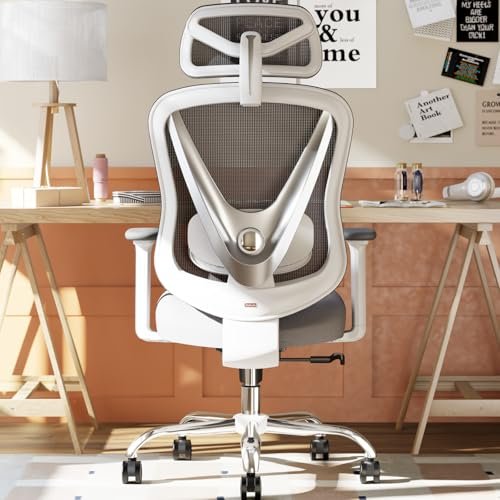 best office chair for scoliosis