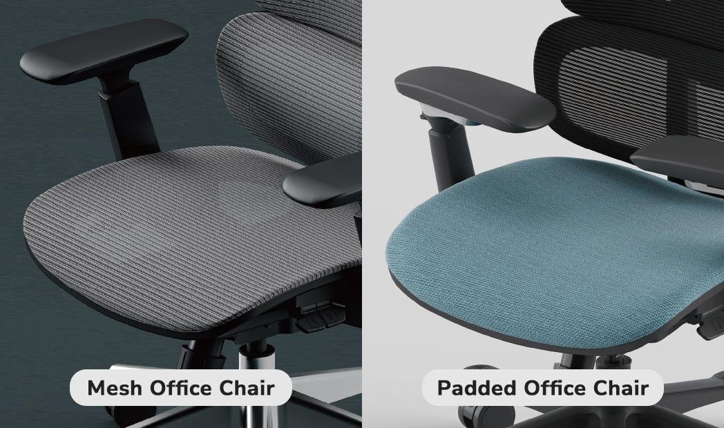 mesh vs foam ergonomic chair comparison